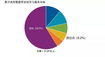 百分點(diǎn)躋身IDC數(shù)字政府?dāng)?shù)據(jù)管理與治理軟件和服務(wù)市場第四名，數(shù)據(jù)處理服務(wù)獲認(rèn)可
