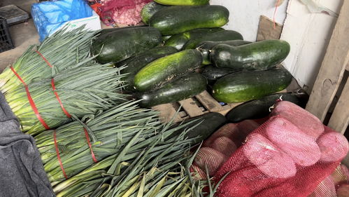 蔬菜價(jià)格高位運(yùn)行，專(zhuān)家預(yù)測(cè)九月上旬將回落